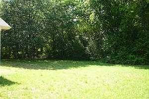 LARGE BACK YARD