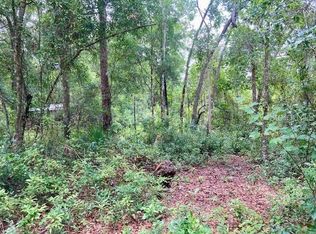 407 RAULERSON ROAD, SEVILLE, FL 32190
