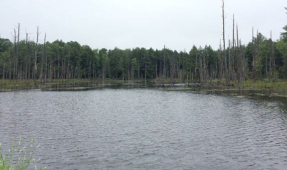 4th image of 565 Leekville Rd