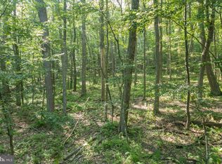 Mallard Lake Trl, Swanton, MD 21561