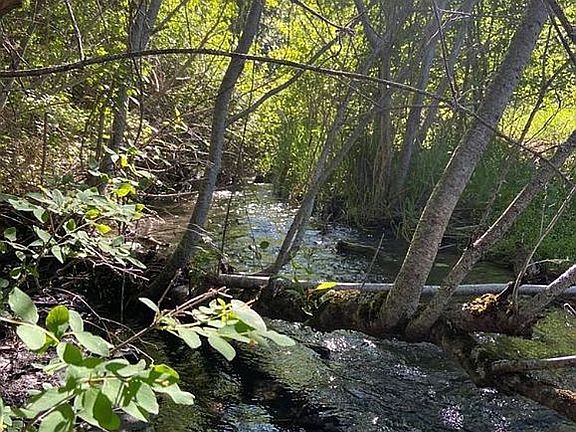 4th image of 60017 River Canyon Rd