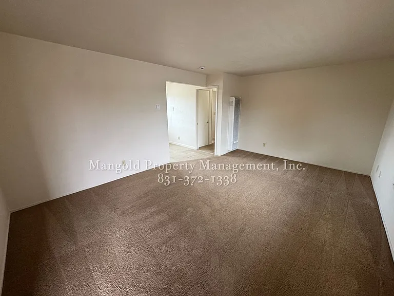 255four — Photo 3