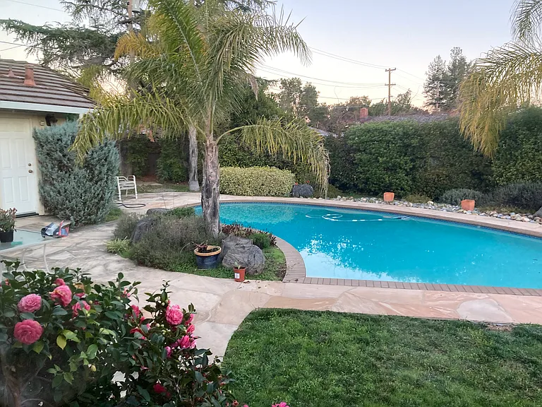 View of the backyard from dining room.
