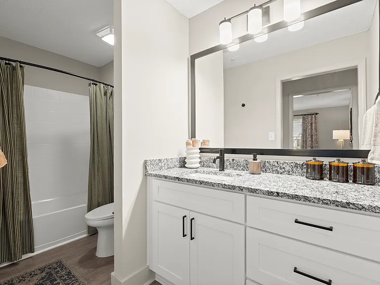 The Pointe at Stockbridge — Photo 13