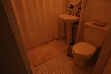 Rented by Bien Realty Ltd