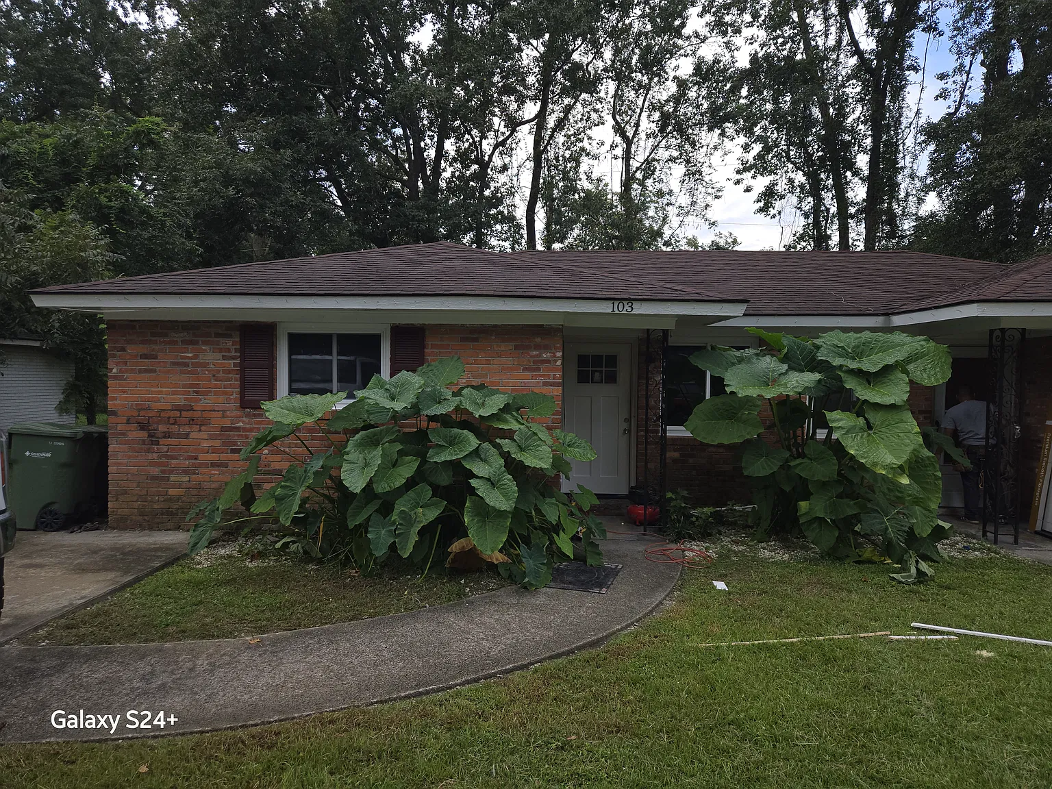 2 bed, 800 sqft, $1,350 — Photo 2