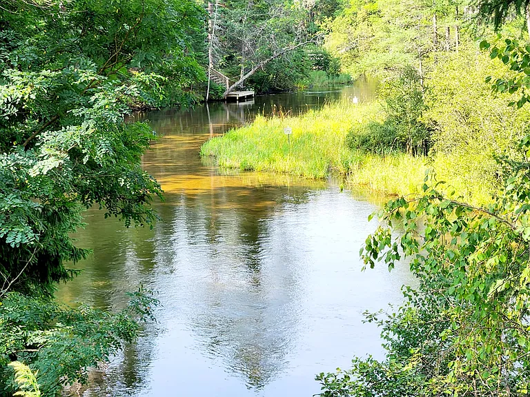 Manistee River