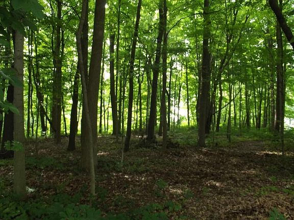 2nd image of Palmer Dr