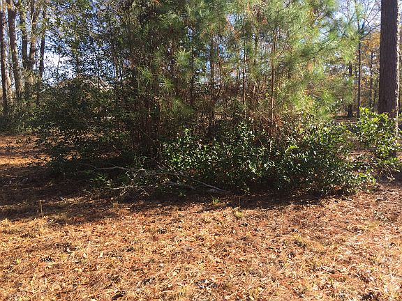 2nd image of Brookwood Park