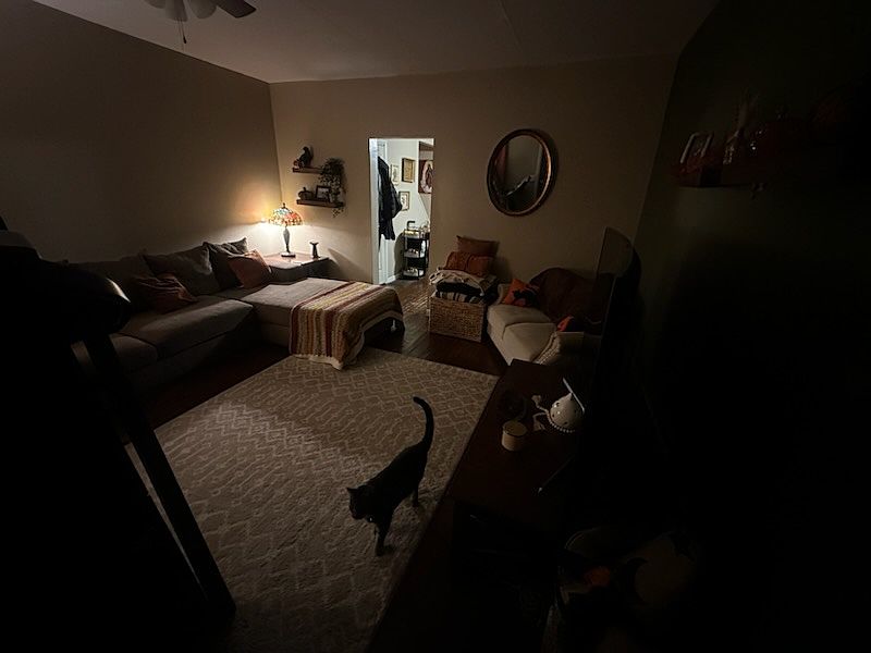 1st image of 315 McKinley Ave
