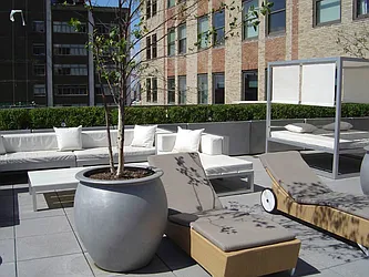 Rented by Town Residential