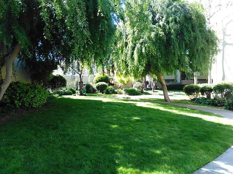 Complex Landscaping 1
