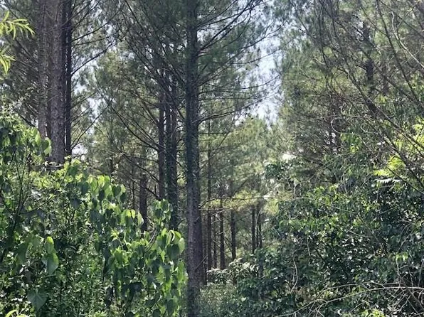 0 Price Wilkes Rd, Prentiss, MS 39474