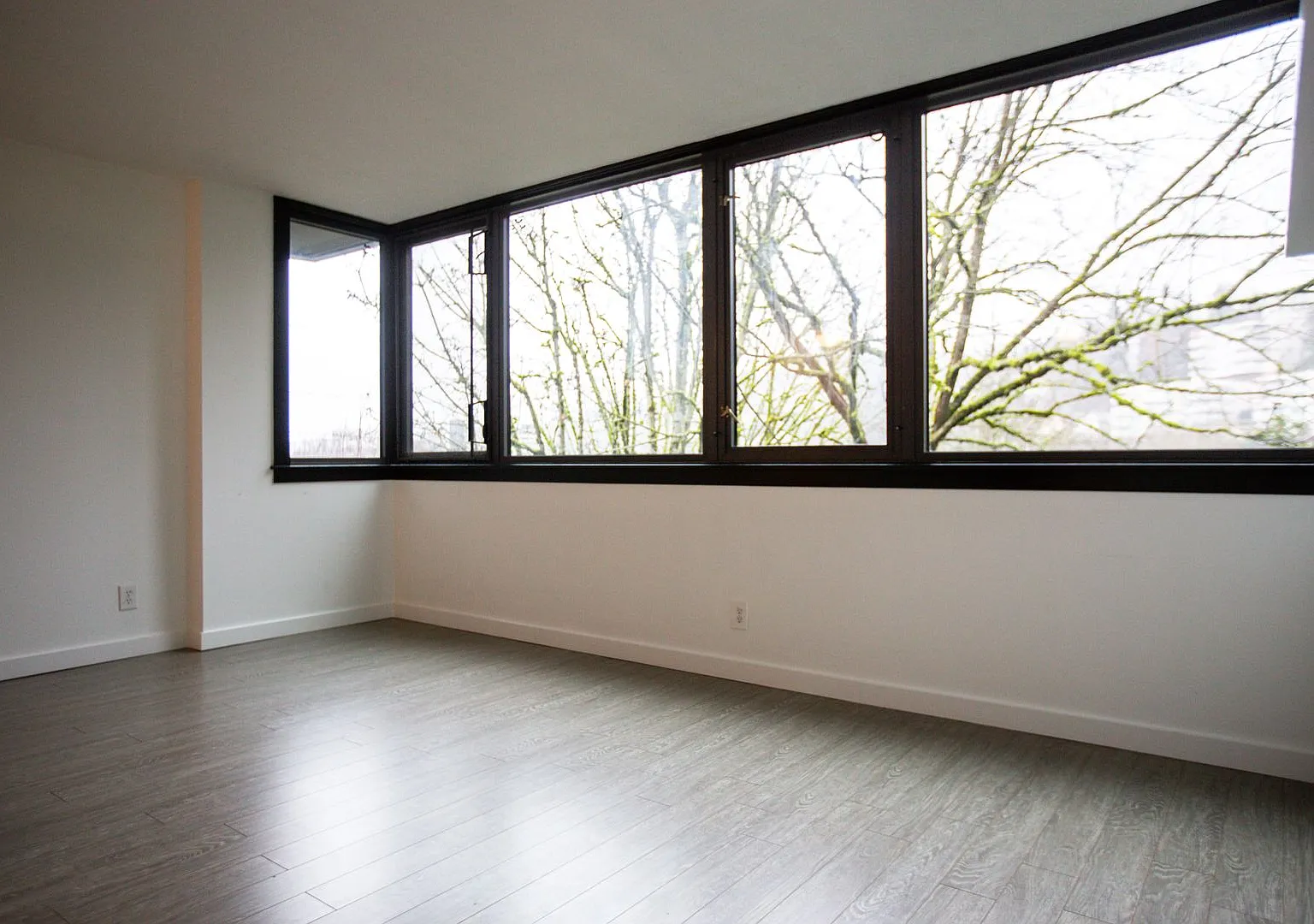 Goose Hollow 1 Bedroom Available Now ! — Photo 2