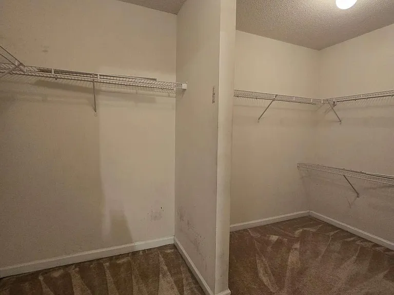 5195 Miller Woods Trl — Photo 15