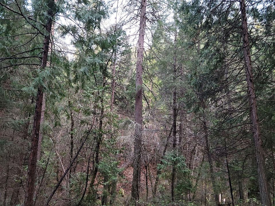 2nd image of 3179 Independence Rd
