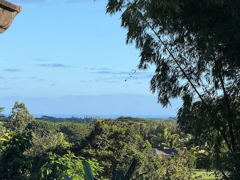Kahiliholo Rd — Photo 18