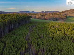 0A All Healing Springs Rd, Taylorsville, NC 28681