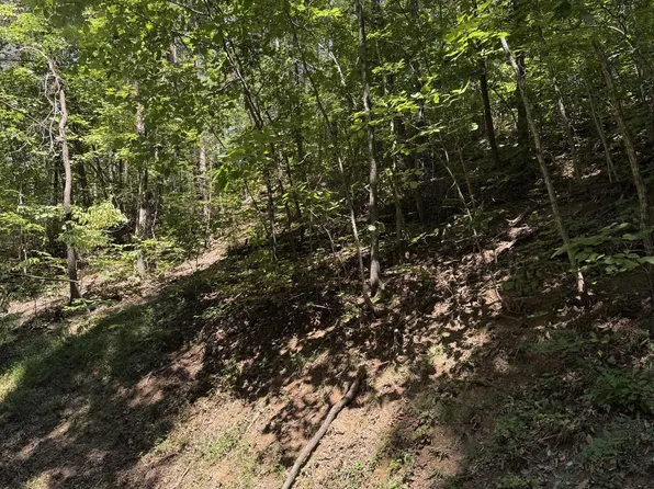 0 Progress Hill Blvd Lot 39, Pigeon Forge, TN 37863