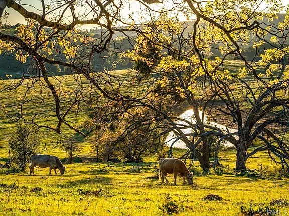 5th image of 4430 Deer Lake Park Rd