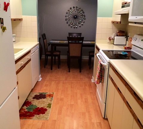 Brand new appliances