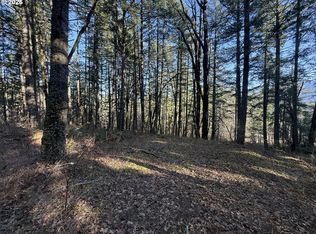 Seward Rd, Carson, WA 98610