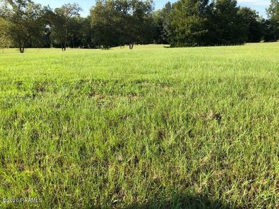 121 Farmview Dr, Carencro, LA, 70520