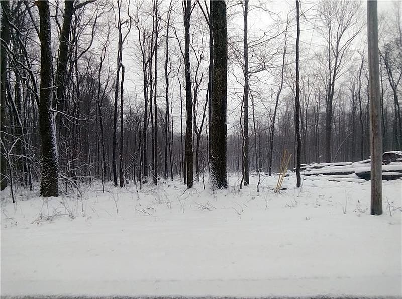 2nd image of 266 Evergreen Ln