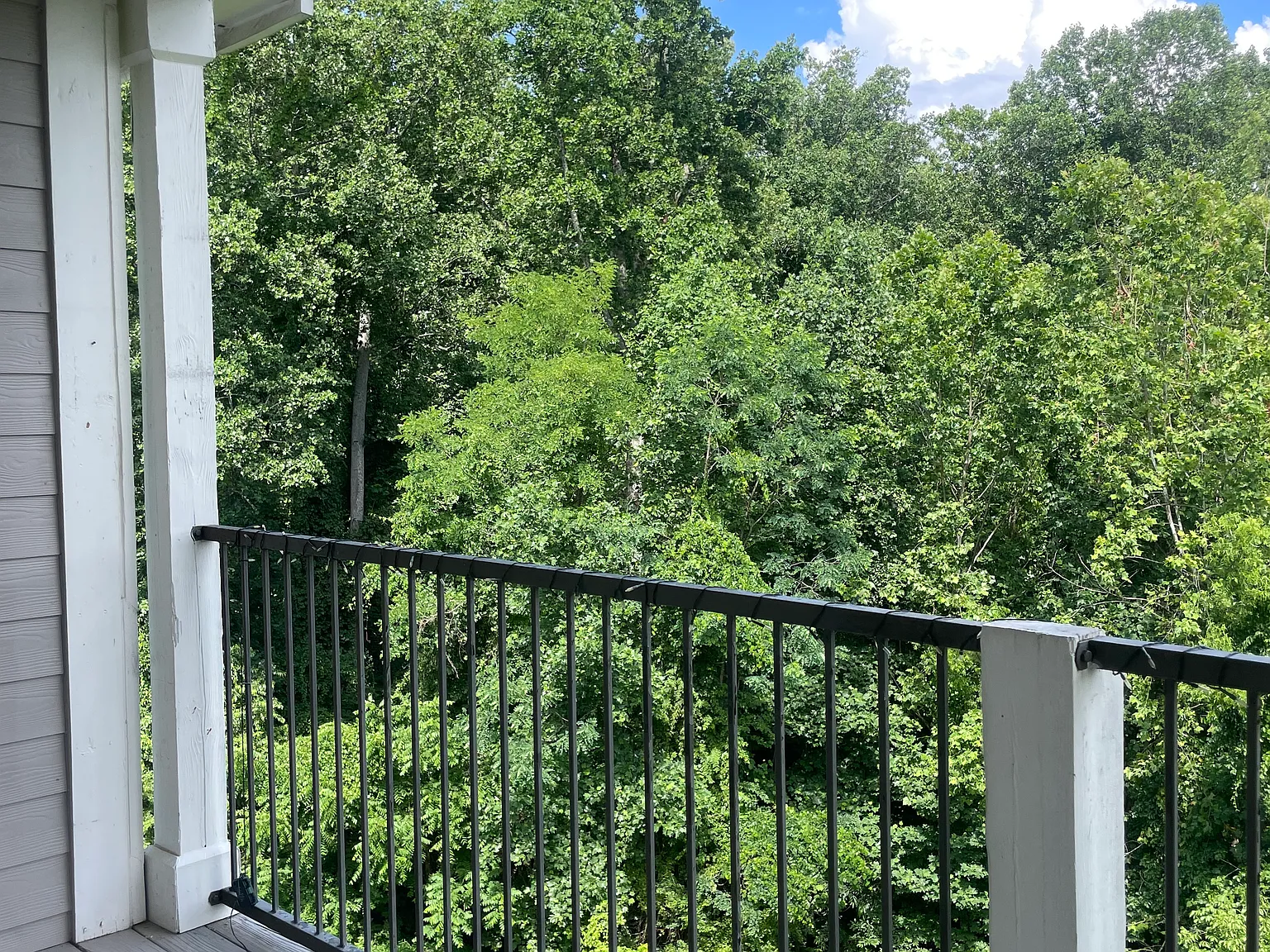 2 bed, 2.0 bath, 1049 sqft, $1,600 — Photo 3