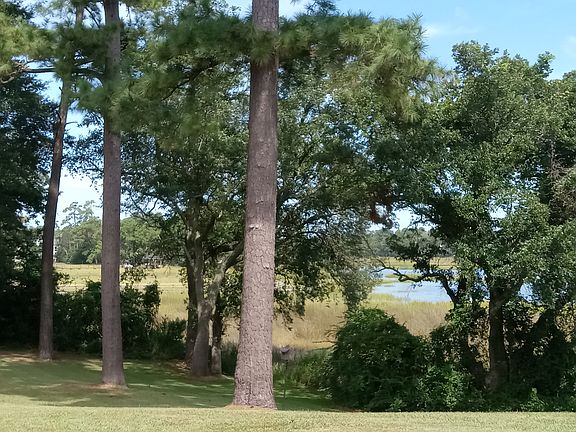 View from looking towards Wrightsville Avenue from the front door -- again more privacy and away from the parking lot!