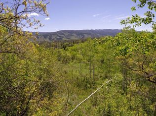 Tbd Silver Fox Trl, Oak Creek, CO 80467
