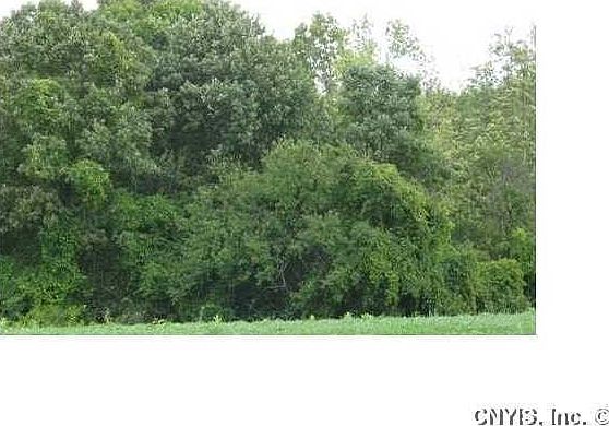 1st image of 6491 Marcus Tullius Cir