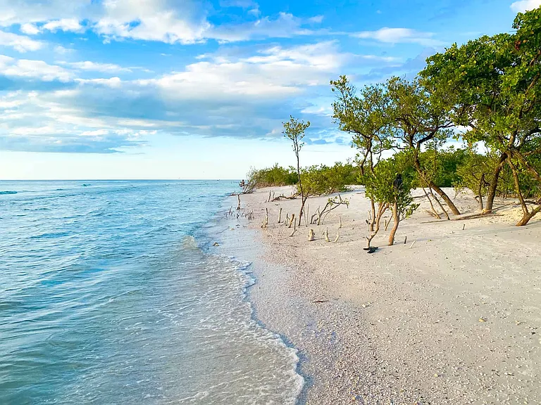 Honeymoon Island, only 15 minutes from the Lake House.