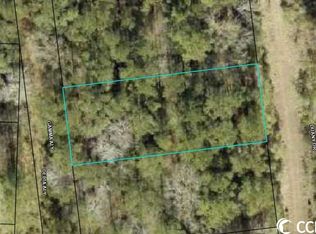 1075 Harmony Township Lot Community Ii West Stewart Chase #D1, Georgetown, SC 29440