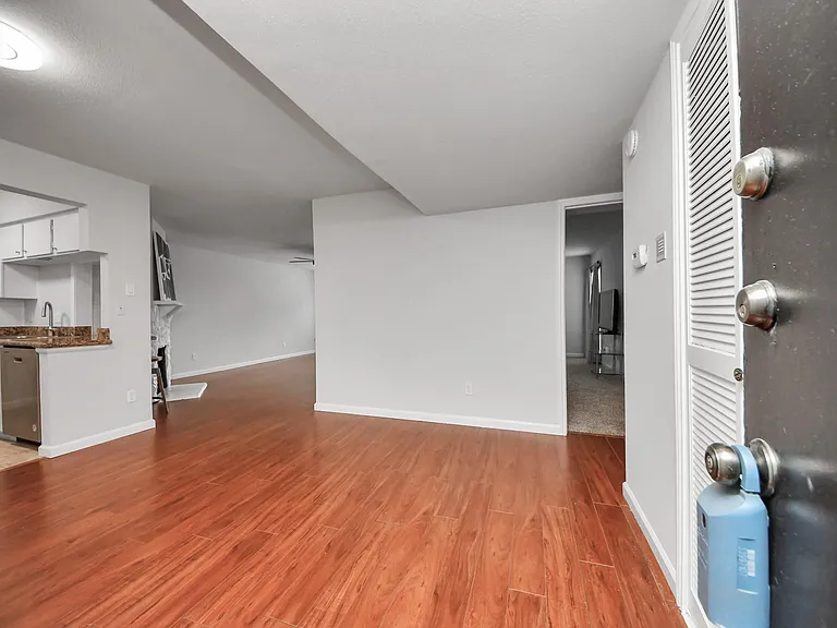 4641 Wild Indigo St #450 — Photo 8