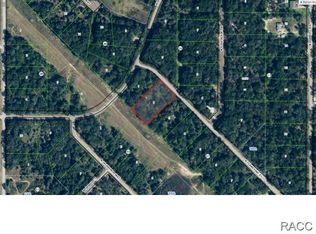 8190 N Flame Vine Way, Crystal River, FL 34428
