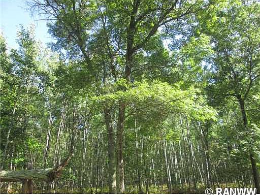 2nd image of Lot 12 Loon Lake Road