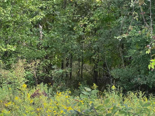 444 Charlie Lewis Rd, Trenton, TN 38382