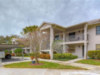 2119 Elm St APT 110, Dunedin, FL, 34698