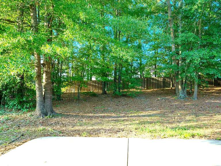 private back yard is fenced