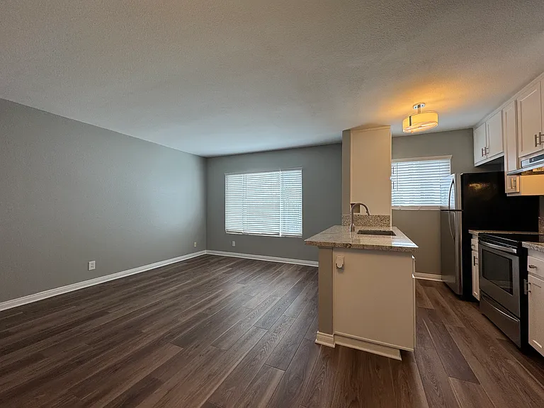 Living/Kitchen