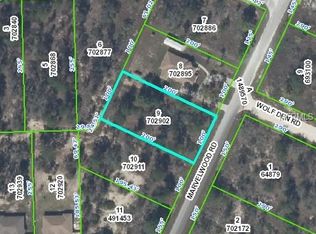 11305 Marvelwood Rd, Weeki Wachee, FL 34614