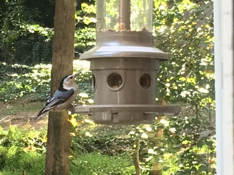 Morning view while cooking breakfast