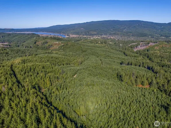 6 Parpala Road #6, Naselle, WA 98638