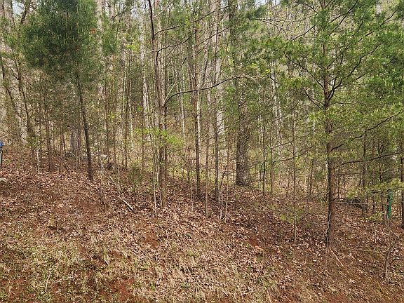 3rd image of 0 Yellow Trillium