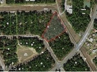 1571 W Thumper Dr, Dunnellon, FL 34434