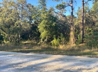 33193 Easter Dr LOT 5, Webster, FL 33597