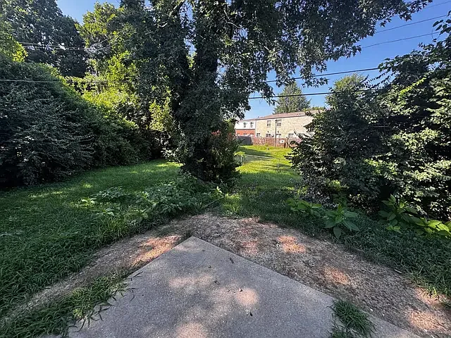 3 bed, $2,300 — Photo 4