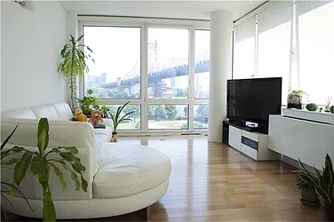 Rented by Space Marketing Shop