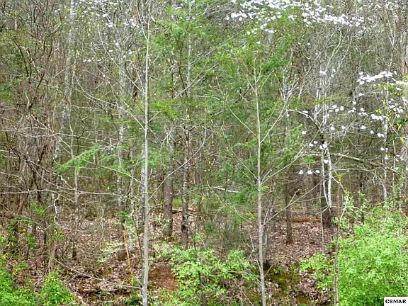 5th image of 220 Fox Hollow Rd